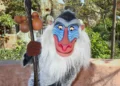 Диснейленд Париж Рафики из Король Лев • Встреча и приветствие с Rafiki в Диснейленд Париж • Рафики в парижском Диснейленде.