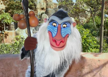 Диснейленд Париж Рафики из Король Лев • Встреча и приветствие с Rafiki в Диснейленд Париж • Рафики в парижском Диснейленде.