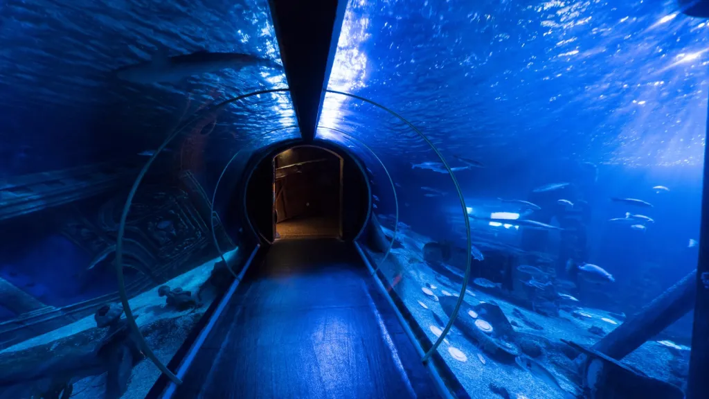 Диснейленд Париж Аквариум Sea Life