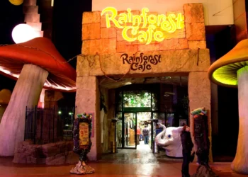 Диснейленд Париж Rainforest Café • Ресторан Тропическое кафе в Диснейленд Париж • Ресторан Rainforest Café в парижском Диснейленде.