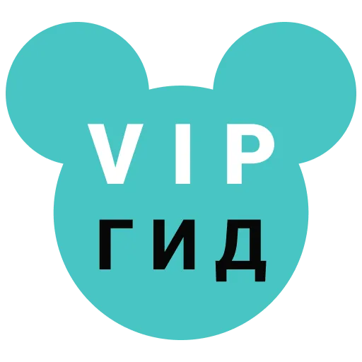 Vip Disney Tour